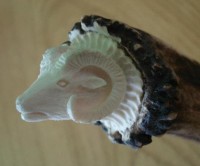 /album/ukazka/p002-1-27-jpg/